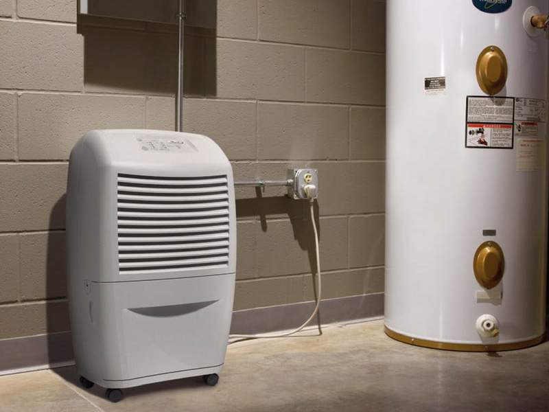 Importance of Dehumidifier for Basement | Buying Guides